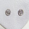 (e1231)Silver earrings motif Tree of Life.